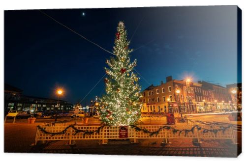 Christmas tree in Fells Point, Baltimore, Maryland.