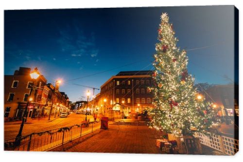 Christmas tree in Fells Point, Baltimore, Maryland.