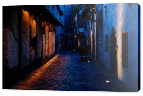 St. Catherine's Passage during blue hour in Tallinn old town, Estonia