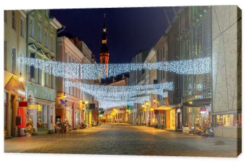 Tallinn. Viru Street at night.