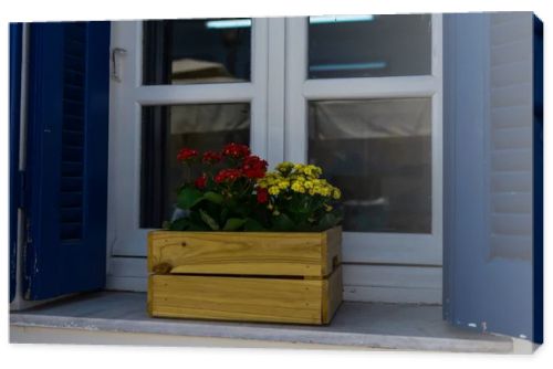 Window sill with flowers 