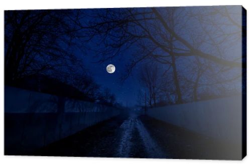 Full moon over the ruins of old grunge building at night. Beautiful night landscape with full moon