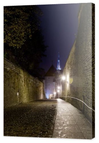 Walk to Toompea