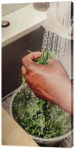 Herbs being washed in a sink