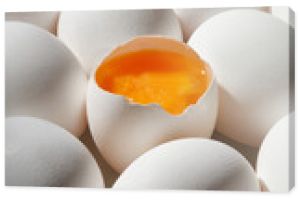 Row of white eggs and single broken egg with a yolk. White Eggs and Yellow Egg Yolk.Shallow depth of field