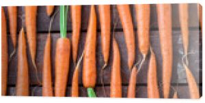 Carrot overhead group lined up on old rustic brown wooden table in studio