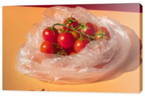 The cherry tomatoes in a transparent plastic bag. Red small tomatoes in a package