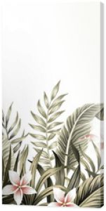 Tropical vintage botanical palm leaves, banana leaves, plant floral, plumeria flower seamless border white background. Exotic green jungle wallpaper.