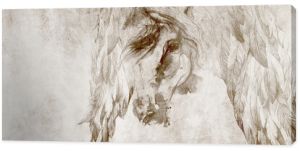 Horse with wings on the wall. Design for wallpaper, mural, wall decoration, poster.