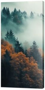 Tranquil scene with a lot of fog and a forest in autumn colors