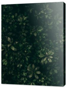 nature  floral wallpaper pattern design texture  vintage pattern