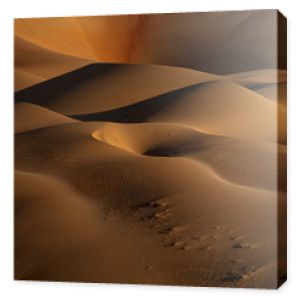 Closeup photo of desert digital wallpaper